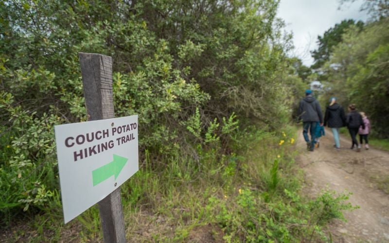 AfriCamps-Ingwe-trails
